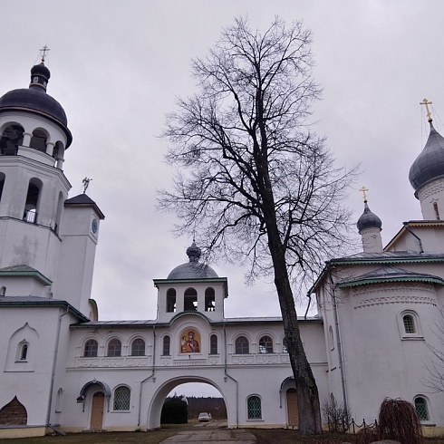 На Крещение – в Крыпецы: как это было